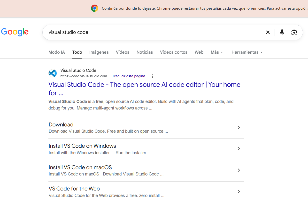 Cerca de Visual Studio Code a Google